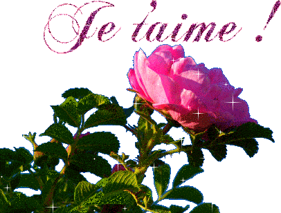 mon amour