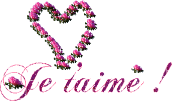 je t aime a la folie